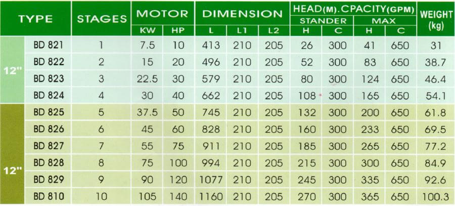 12 Inch Stainless Steel Submersible Pumps BD Series10 HP - 140HP